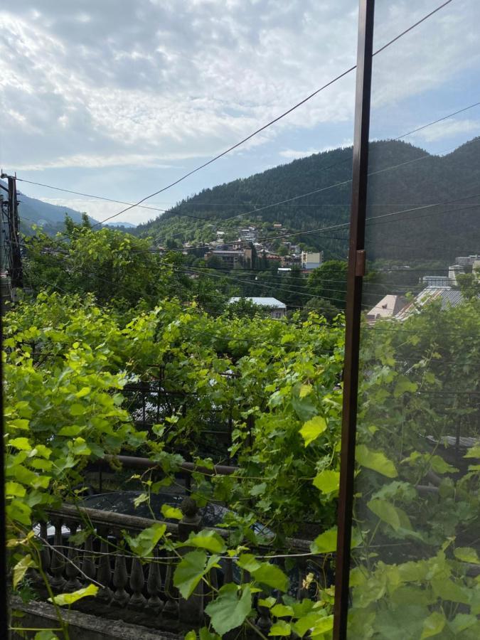 Shota'S Guest House Borjomi Exterior foto