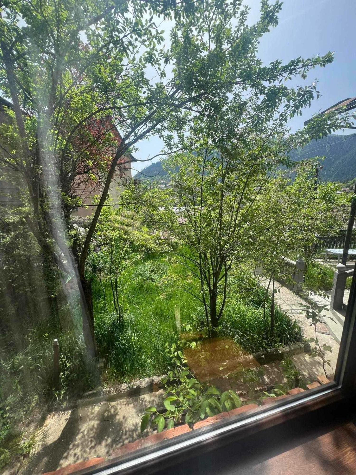 Shota'S Guest House Borjomi Exterior foto
