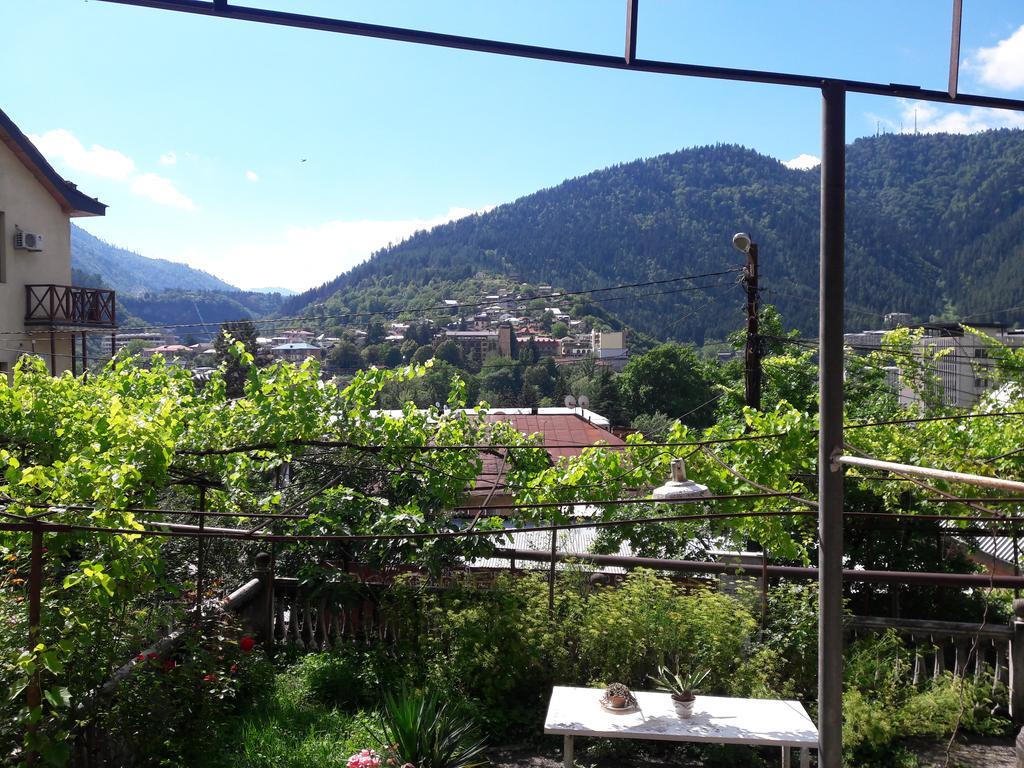 Shota'S Guest House Borjomi Exterior foto